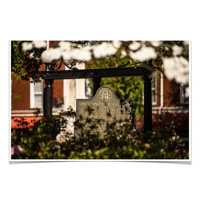 Georgia Bulldogs - Looking Through the Arch - College Wall Art #Poster