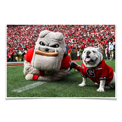 Georgia Bulldogs - Hairy and Uga Game Ready - College Wall Art #Poster