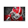 Georgia Bulldogs - Strap It Up UGA - College Wall Art #Poster