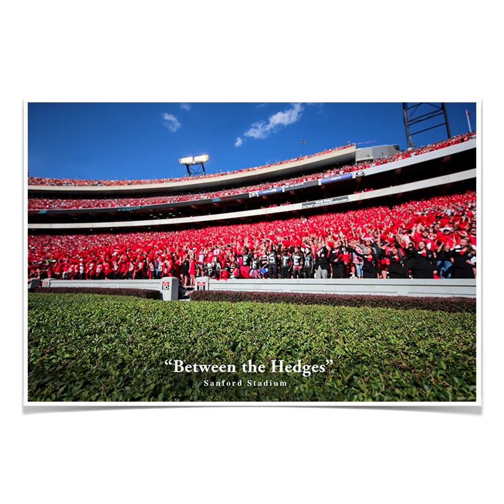 Georgia Bulldogs - Between the Hedges UGA - College Wall  Art #Canvas