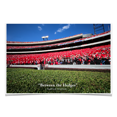 Georgia Bulldogs - Between the Hedges UGA - College Wall Art #Poster