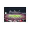 Georgia Bulldogs - Sanford Stadium 50 Yard Line - College Wall Art #Poster