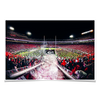 Georgia Bulldogs - Dawg Entrance - College Wall Art#Poster