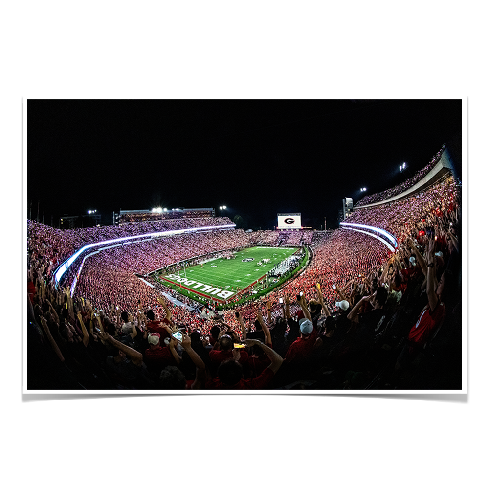 Georgia Bulldogs - Aerial Sanford Lights - College Wall Art #Canvas