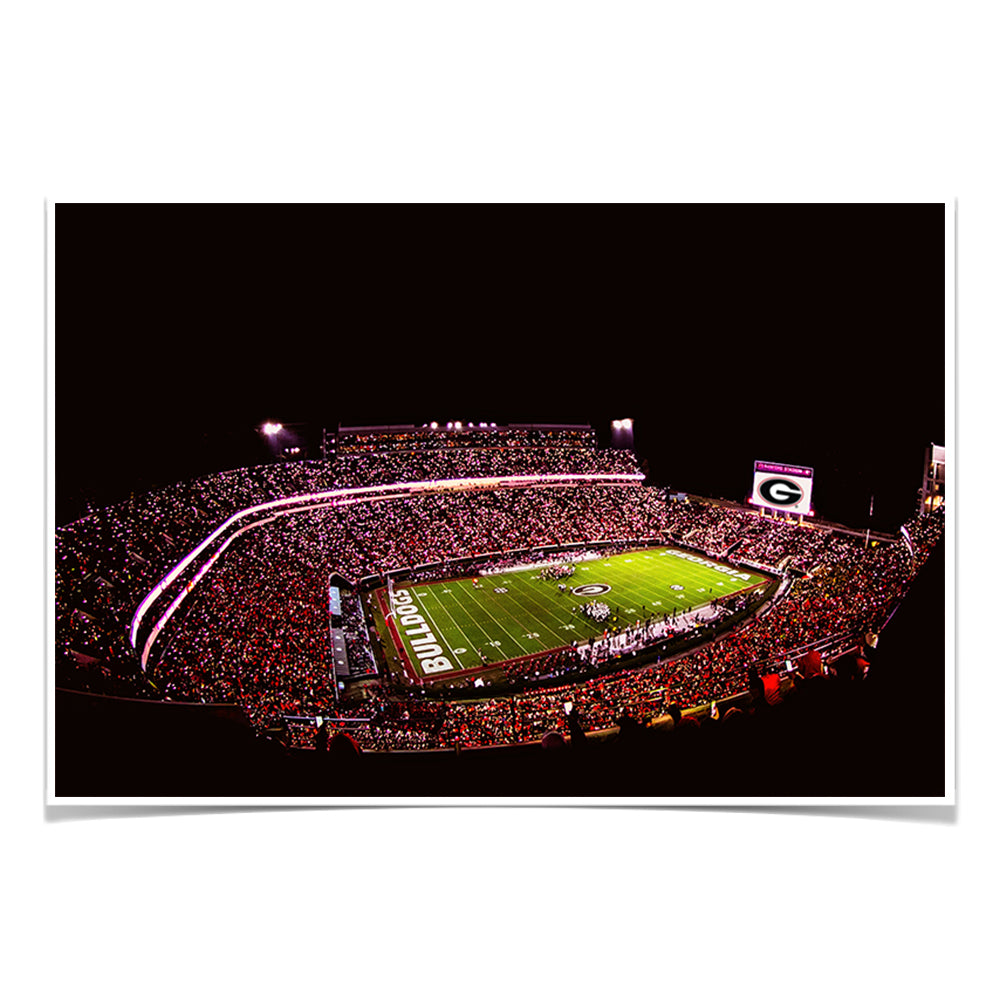 Georgia Bulldogs - Georgia Bulldogs Sanford Lights - College Wall Art #Canvas