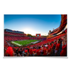 Georgia Bulldogs - Gooooo Georgia - College Wall Art #Poster