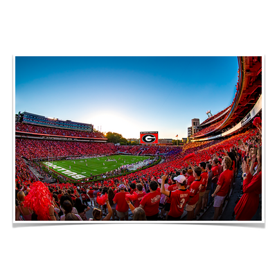 Georgia Bulldogs - Gooooo Georgia - College Wall Art #Poster