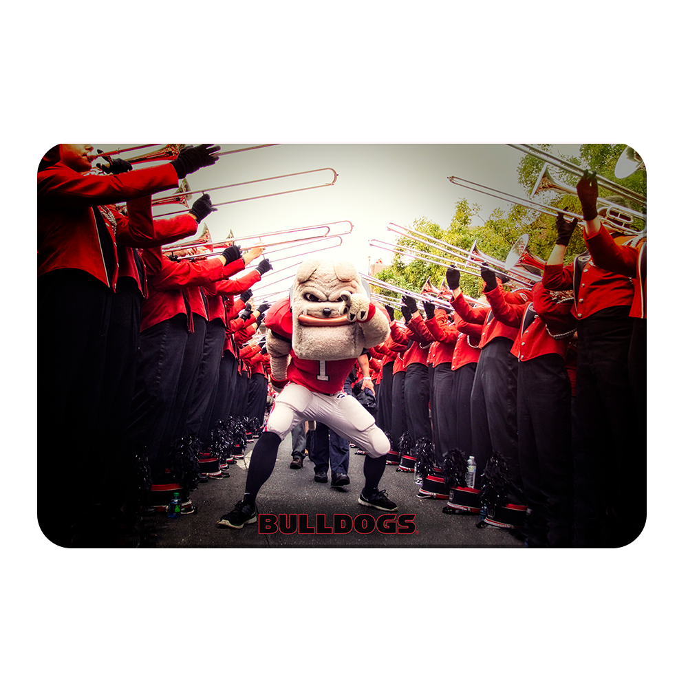 Georgia Bulldogs - Dawg Walk - College Wall Art #Canvas