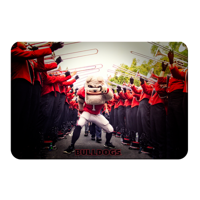 Georgia Bulldogs - Dawg Walk - College Wall Art #PVC