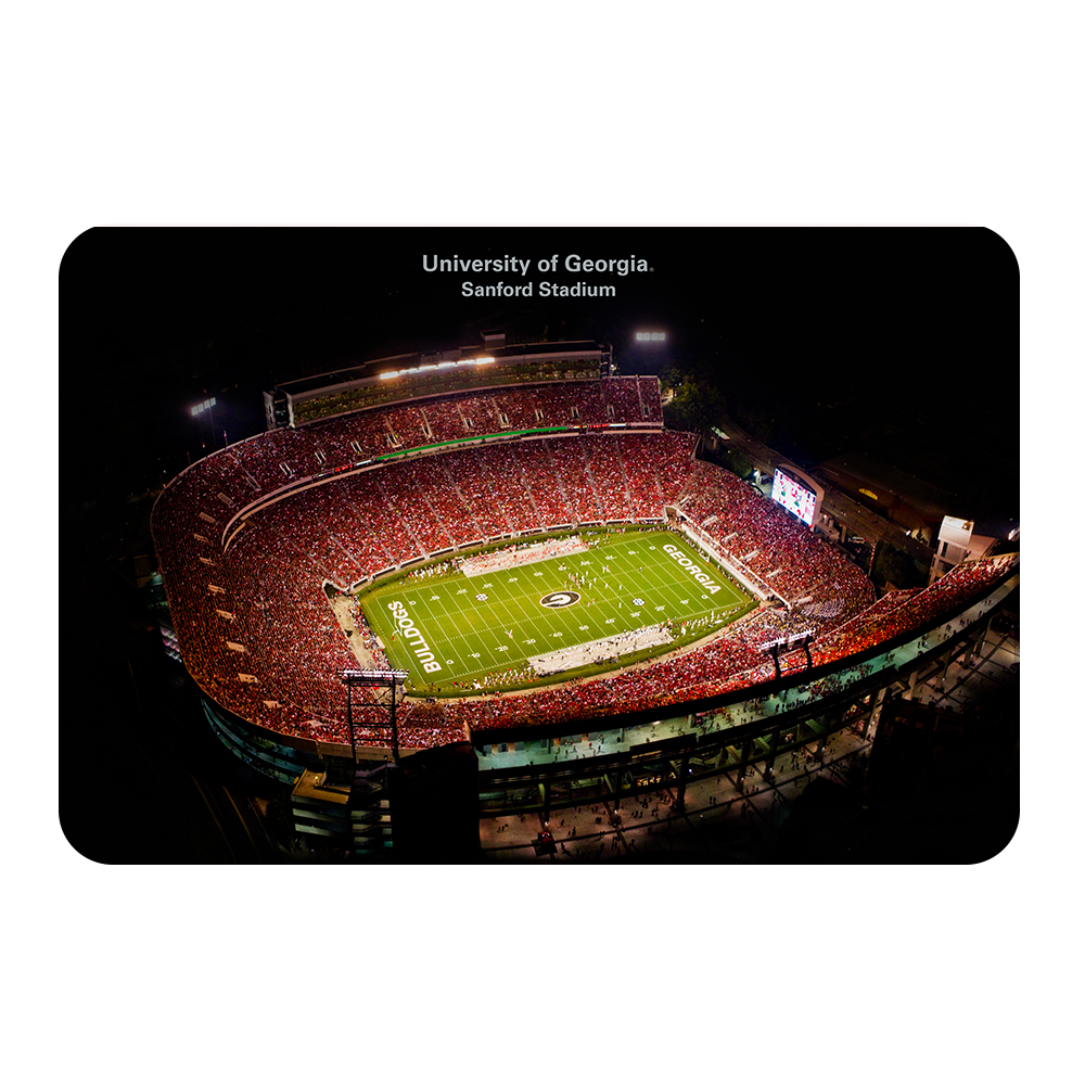 Georgia Bulldogs - University of Georgia Sanford Stadium - College Wall Art #Canvas