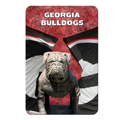 Georgia Bulldogs - Georgia Bulldogs - College Wall Art #PVC