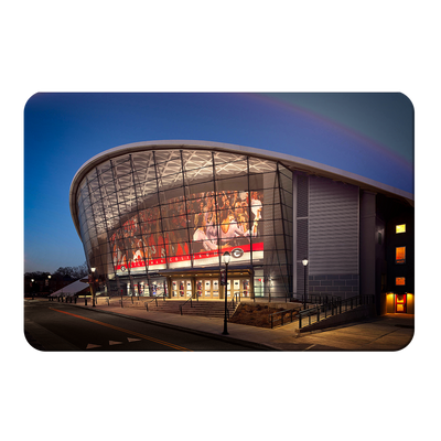 Georgia Bulldogs - Stegeman Coliseum - College Wall Art #PVC