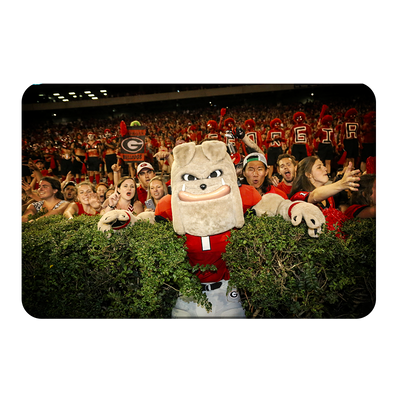 Georgia Bulldogs - Hairy in the Hedges - College Wall Art #PVC