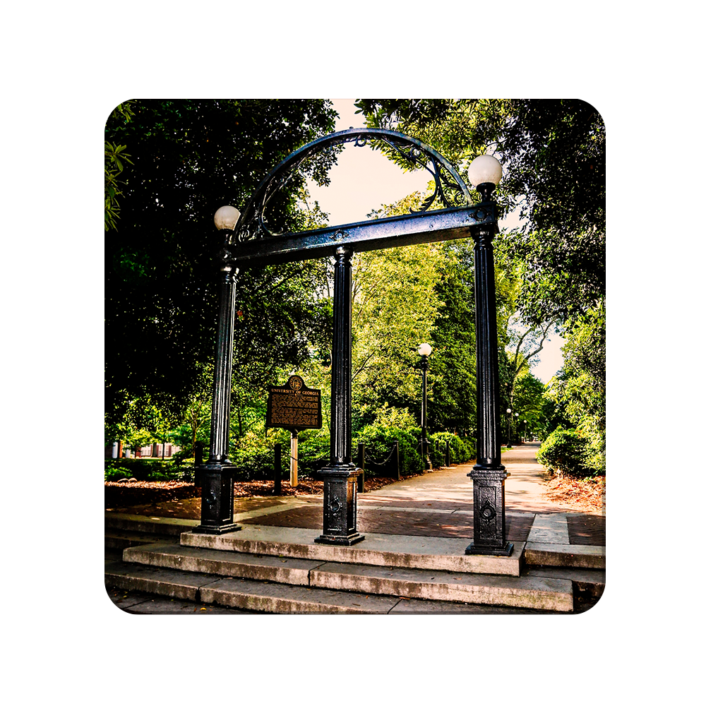 Georgia Bulldogs - The Arch - College Wall Art #Canvas