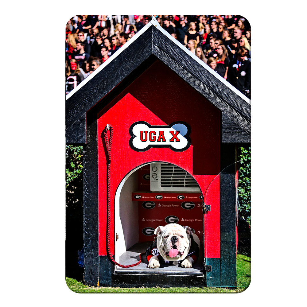 Georgia Bulldogs - Uga X in the House - College Wall Art #Canvas