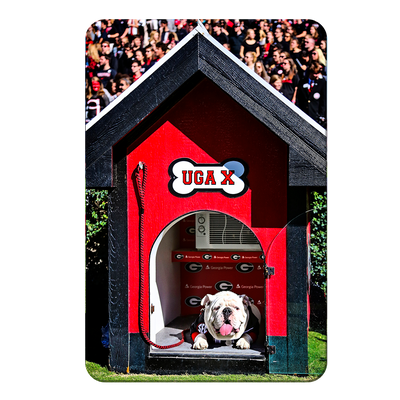 Georgia Bulldogs - Uga X in the House - College Wall Art #PVC