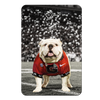 Georgia Bulldogs - Uga Under the Lights - College Wall Art #PVC