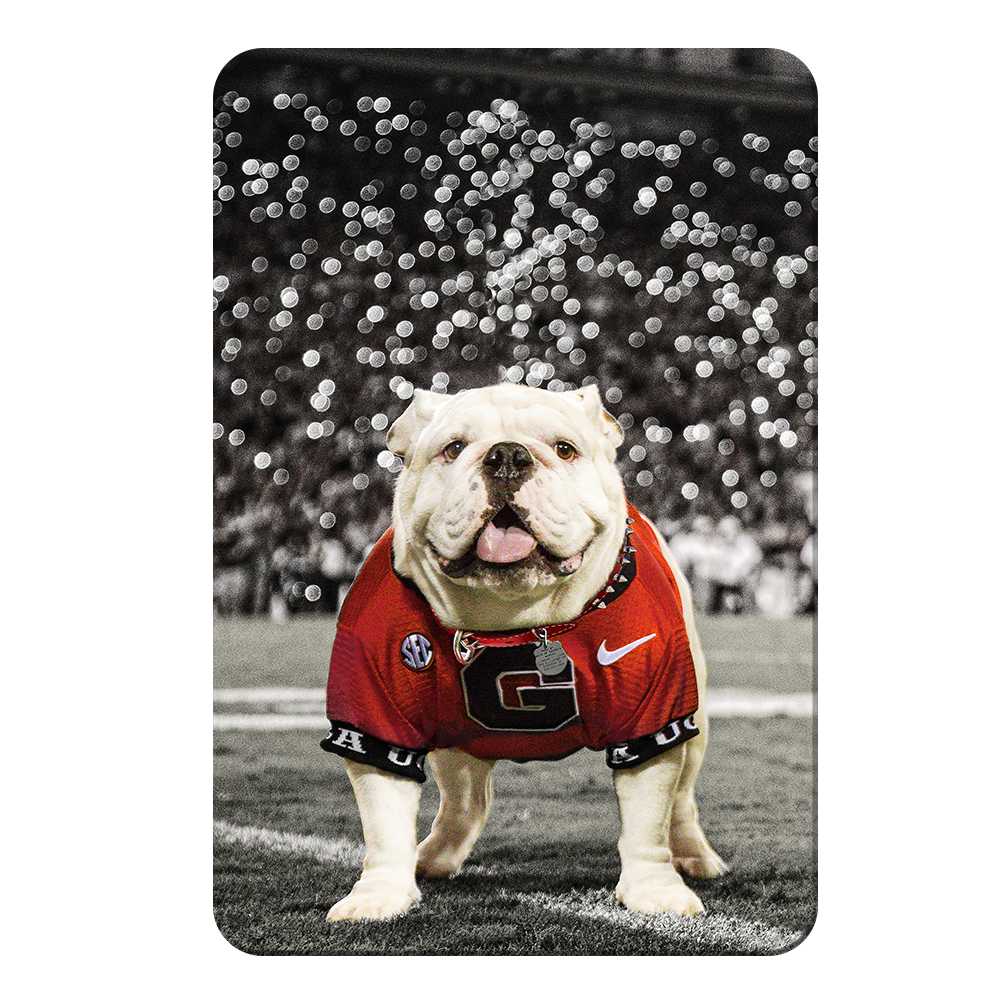 Georgia Bulldogs - Uga Under the Lights - College Wall Art #Canvas