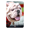 Georgia Bulldogs - Uga Portrait - College Wall Art #PVC