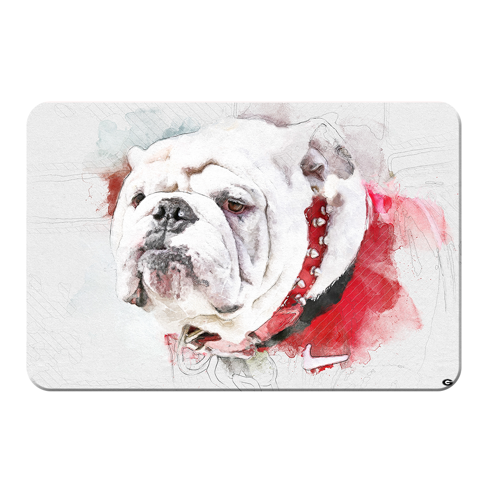 Georgia Bulldogs - Uga Painting - College Wall Art #Canvas