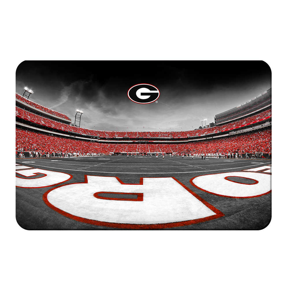 Georgia Bulldogs - Sanford Stadium End Zone Duotone - College Wall Art #Canvas