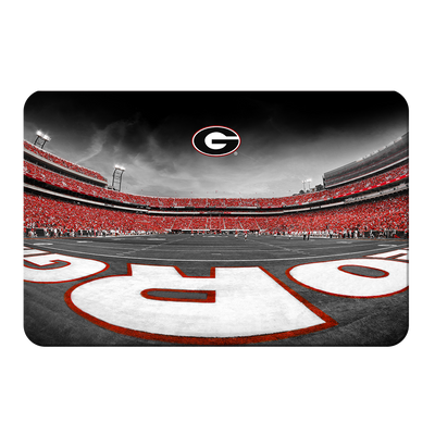 Georgia Bulldogs - Sanford Stadium End Zone Duotone - College Wall Art #PVC