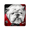 Georgia Bulldogs - Uga Close Up - College Wall Art #PVC