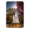 Georgia Bulldogs - The Fountain - College Wall Art #PVC