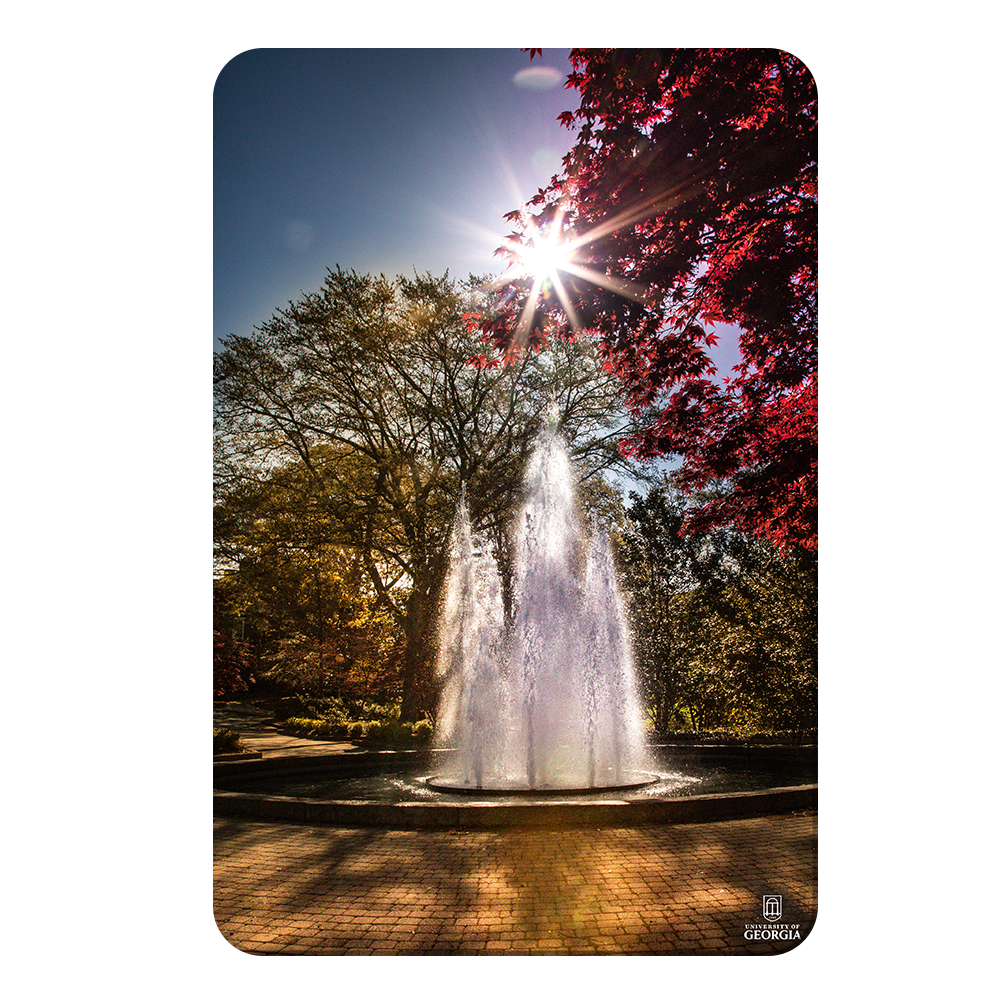 Georgia Bulldogs - The Fountain - College Wall Art #Canvas