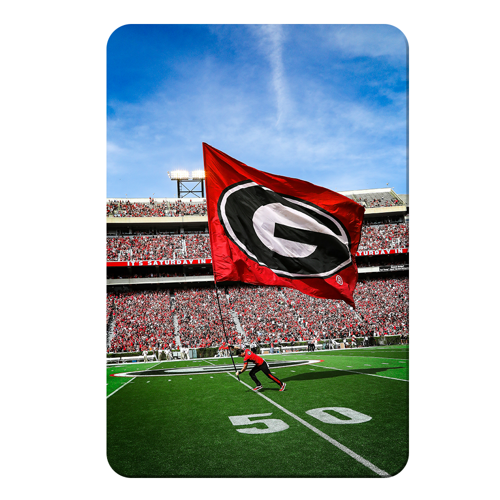 Georgia Bulldogs - The G Flag - College Wall Art #Canvas