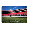 Georgia Bulldogs - Between the Hedges UGA - College Wall Art #PVC