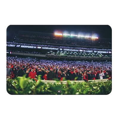 Georgia Bulldogs - Light Up Sanford - College Wall Art #PVC