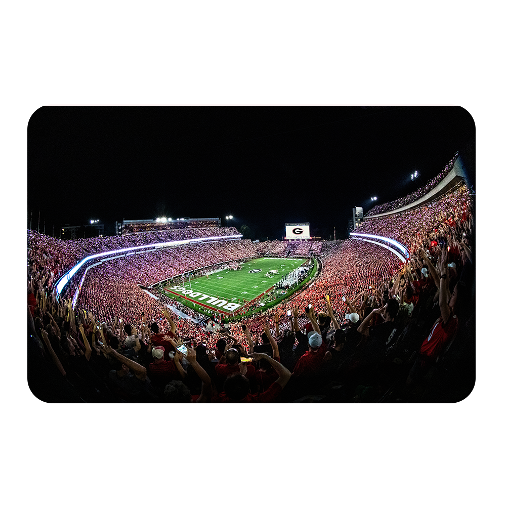 Georgia Bulldogs - Aerial Sanford Lights - College Wall Art #Canvas