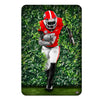 Georgia Bulldogs - Through the Hedges Oil Painting - College Wall Art #PVC