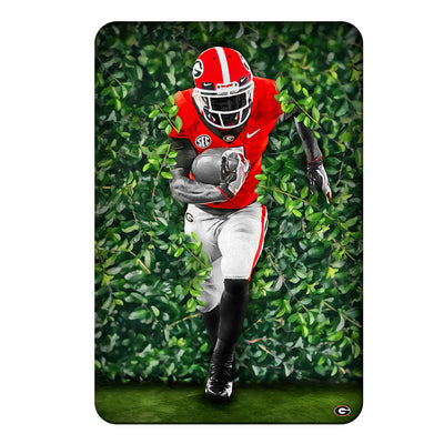 Georgia Bulldogs - Through the Hedges Oil Painting - College Wall Art #PVC