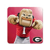 Georgia Bulldogs - Hairy Dawg Tile - College Wall Art #PVC