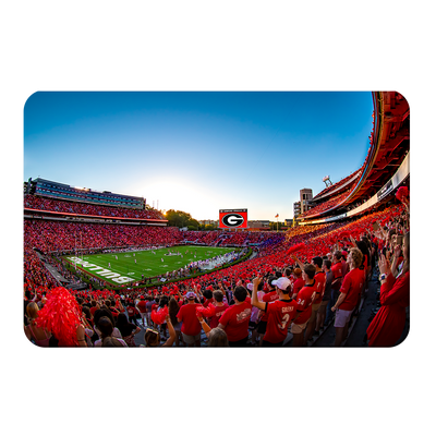 Georgia Bulldogs - Gooooo Georgia - College Wall Art #PVC