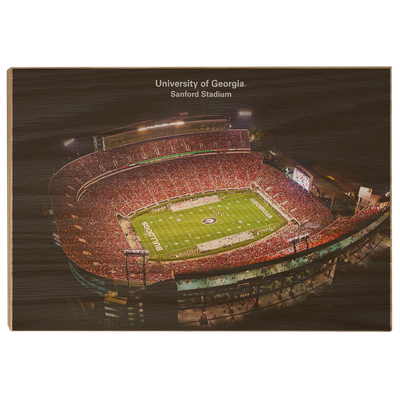 Georgia Bulldogs - University of Georgia Sanford Stadium - College Wall Art #Wood