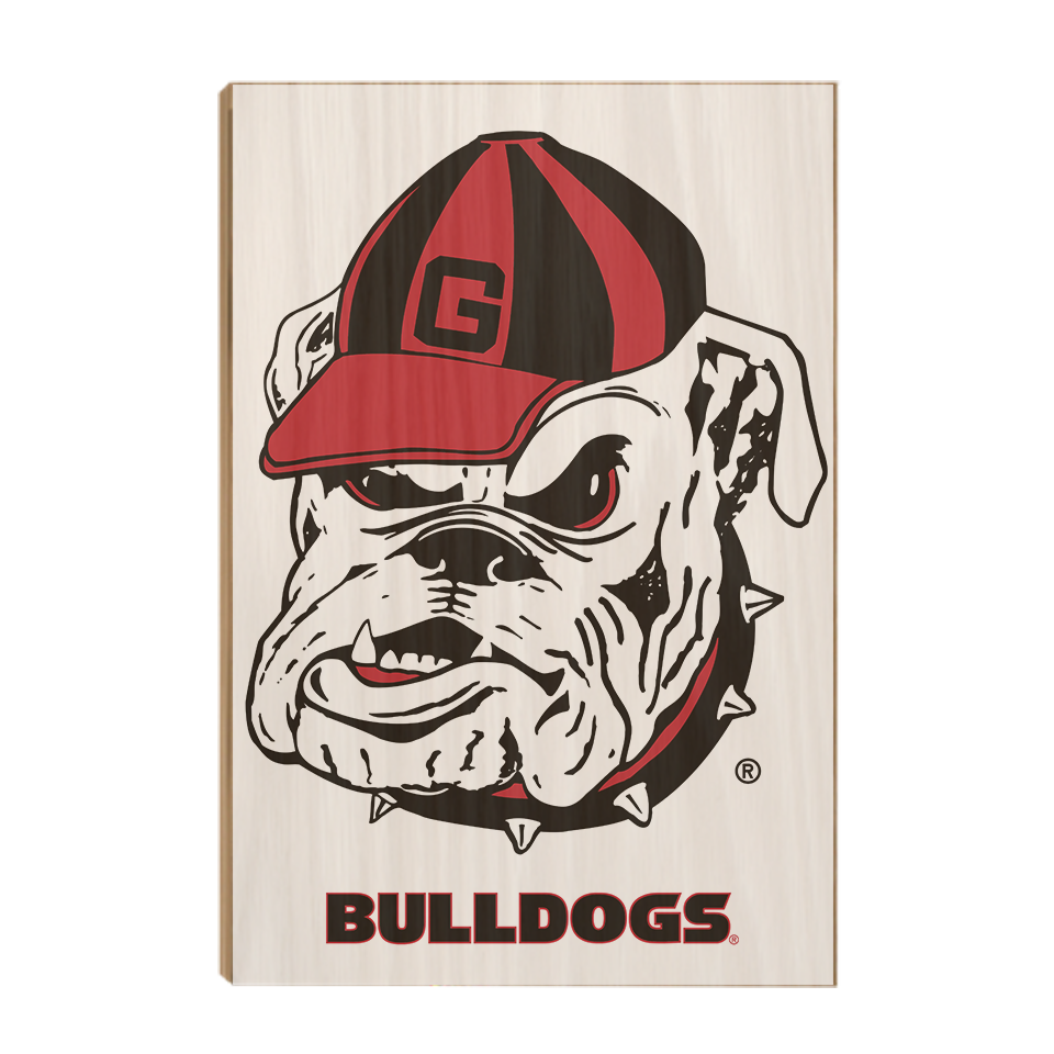 Georgia Bulldogs - Bulldogs - College Wall Art #Canvas