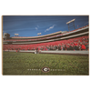 Georgia Bulldogs - Georgia Football - College Wall Art #Wood