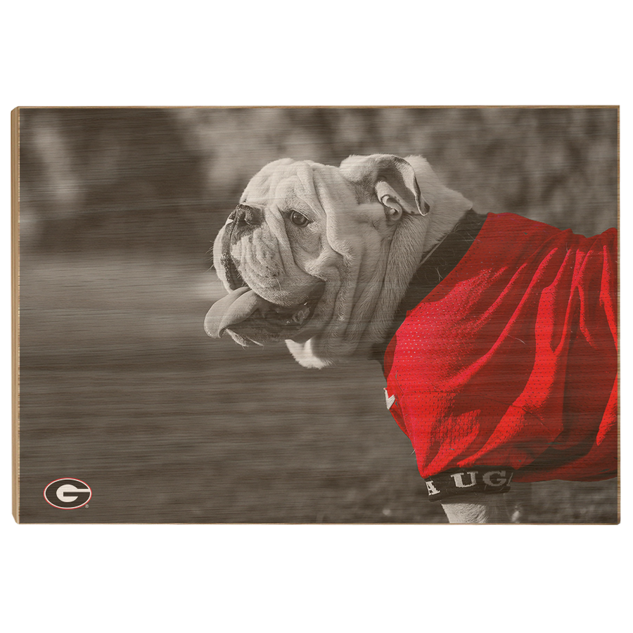 Georgia Bulldogs - Uga Poised - College Wall Art #Canvas