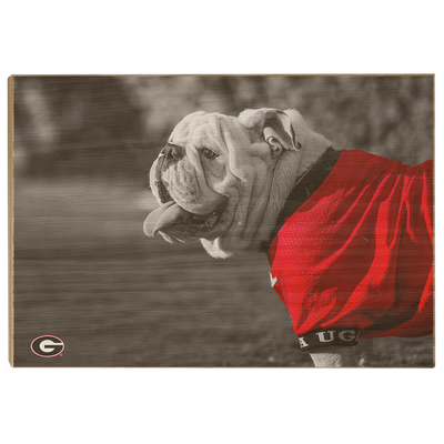 Georgia Bulldogs - Uga Poised - College Wall Art #Wood