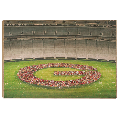 Georgia Bulldogs - The G - College Wall Art #Wood