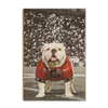 Georgia Bulldogs - Uga Under the Lights - College Wall Art #Wood