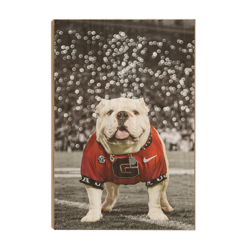 Georgia Bulldogs - Uga Under the Lights - College Wall Art #Canvas