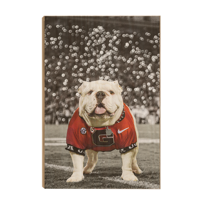 Georgia Bulldogs - Uga Under the Lights - College Wall Art #Wood