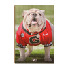 Georgia Bulldogs - Uga Poised II - College Wall Art #Wood