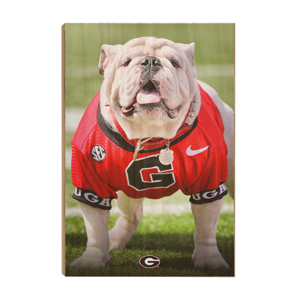 Georgia Bulldogs - Uga Poised II - College Wall Art #Canvas