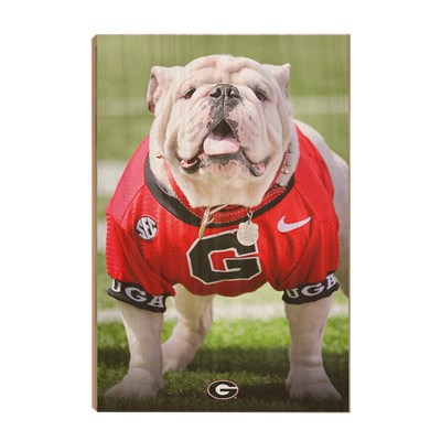 Georgia Bulldogs - Uga Poised II - College Wall Art #Wood