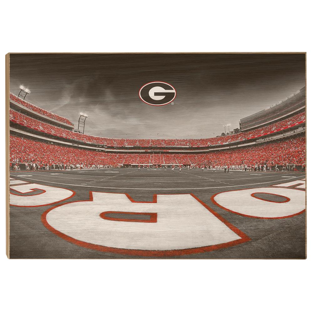 Georgia Bulldogs - Sanford Stadium End Zone Duotone - College Wall Art #Canvas